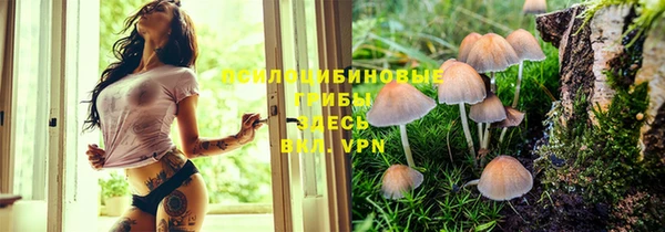 мет Сатка